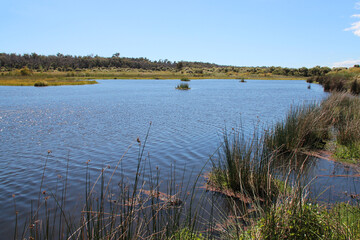 yanchep national park in australia