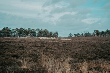 Obraz premium clouds over the field