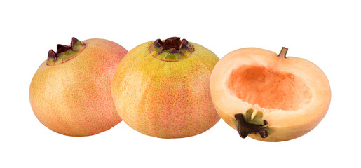 Syzygium jambos or rose apple on  transparent png