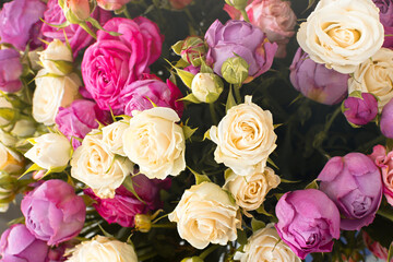 Pink purple white roses background. Top view of a large beautiful bouquet in different poses. The concept of Valentine's day, wedding, birthday. Natural bright background. Mother's Day Greeting Card
