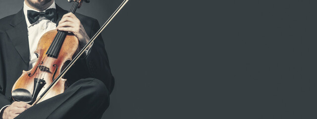 Professional violin player performance banner