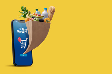 Online grocery shopping app and grocery bag