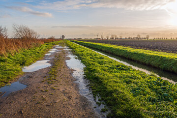 Irregular sand path with puddles of water. The path is located in a Dutch polder with fields and there is a ditch right next to the verge of the path. The photo was taken in the autumn season.