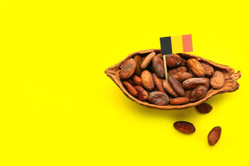 Cocoa pods with beans and flag of Belgium on color background