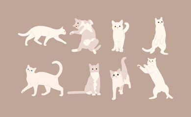 Fototapeta na wymiar white cat cute 11 on a brown background, vector illustration.