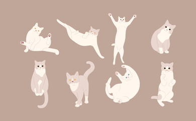 white cat cute 14 on a brown background, vector illustration.