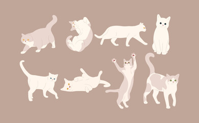 white cat cute 15 on a brown background, vector illustration.