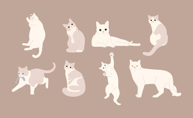 white cat cute 16 on a brown background, vector illustration.