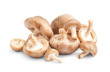 Heap of fresh shiitake mushrooms on white background