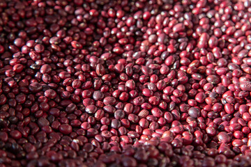 Legumbres expuestas en el mercado anual de Santo Tomás en Bilbao, Bizkaia, País Vasco