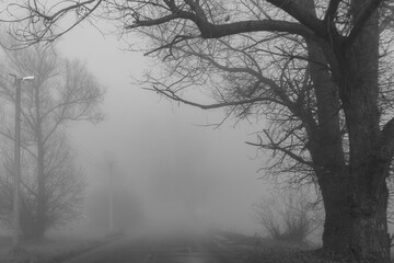 Travel to the town of Koprivshtitsa in Bulgaria during fog