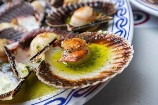 Scallopss in the shell is a local plate