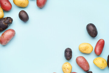 Different types of raw potatoes on blue background
