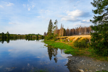 Fototapeta premium Nature at the Oberer Nassenwieser Teich in the Harz Mountains, near Clausthal-Zellerfeld. View of the pond with the idyllic autumn landscape. 