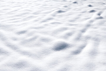 雪景色。北国のコンセプト。