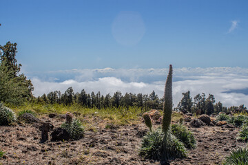 La Palma, Canarias