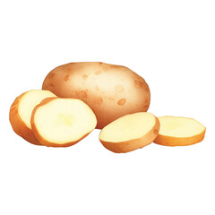 potato hand drawn with watercolor painting style illustration