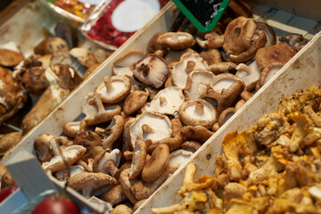 Mushroom in market