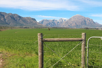 View of snow capped mountains near Tulbach, Ceres in the Western Cape South Africa  - obrazy, fototapety, plakaty