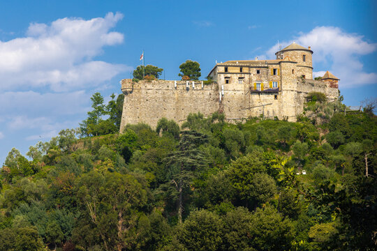 Brown Castle surrounded by green olive trees and plants in the middle of the summer. Castello Brown is a historic house museum located high above the harbour of Portofino, Italy.