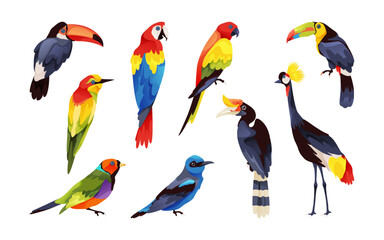 Exotical birds set, vector icons or cliparts.