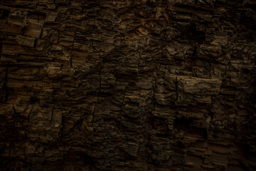 Burned Texture of Giant Sequoia Tree