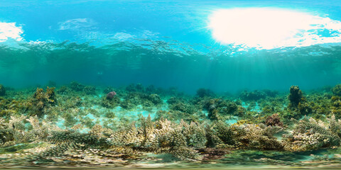 Fototapeta na wymiar Underwater world with coral reef and tropical fishes. Travel vacation concept 360 panorama VR