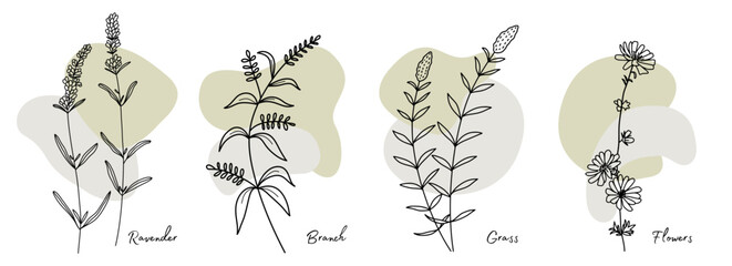 Floral hand drawn botanical elements vector