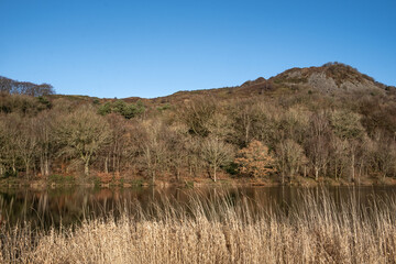 Trees reflecting in the waters of a reservoir in winter