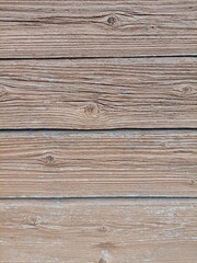 Fototapeta premium Natural wooden texture