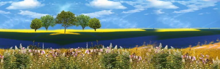  Summer bright Meadow of wheat trees and wild field sunlight blue sky with flowers  white clouds...