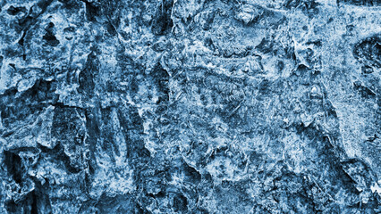 Fruit tree bark closeup. Abstract natural wallpaper. Blue tinted background with a rich texture. Macro
