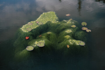 Fototapete bei efototapeten.de bestellen   