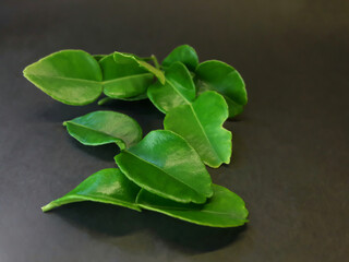 photo of green lime leaves kitchen seasoning with black background