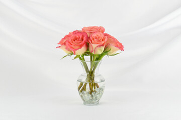 Bouquet of two toned pink and yellow roses arranged in a clear vase isolated on an elegant white fabric draped background.