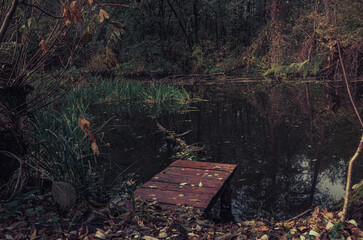 Autumn woods