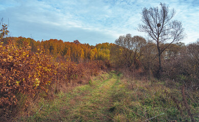 Fototapeta premium Autumn sunset