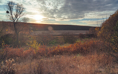 Autumn woods