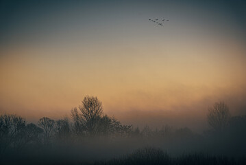 Magic sunrise