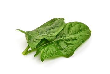 Spinach leaves, isolated on white background. High resolution image.