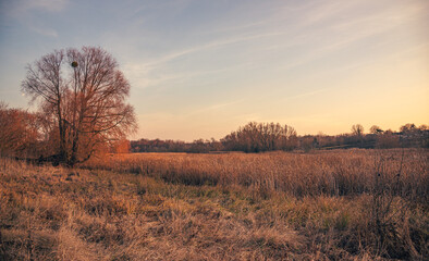 Fototapeta premium Sunrise on river