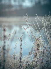 Nature in morning