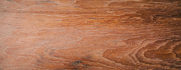 Old nature wooden texture abstract background