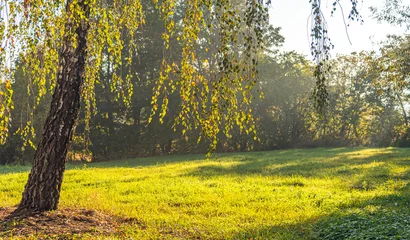 Summer landscape © ghostdom
