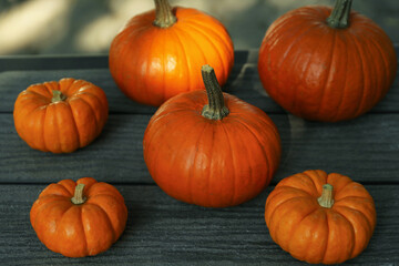 Many whole ripe pumpkins on wooden table outdoors