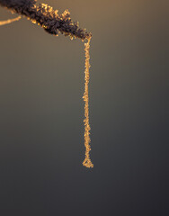 Naklejka premium Frosen nature