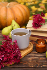 Composition with beautiful chrysanthemum flowers on wooden table outdoors, closeup