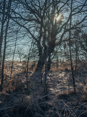 Winter sunrise on river