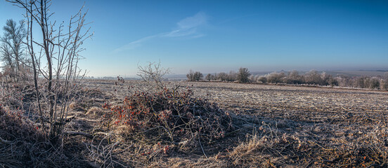 Winter sunrise on river