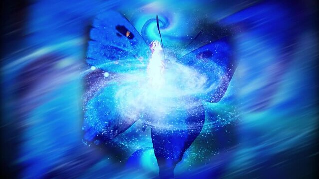 The blue starry sky with butterfly